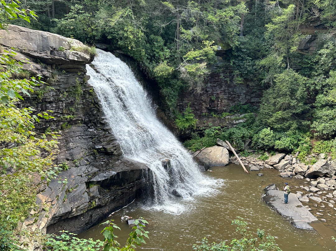 Swallow Falls State Park-Oakland必去景点