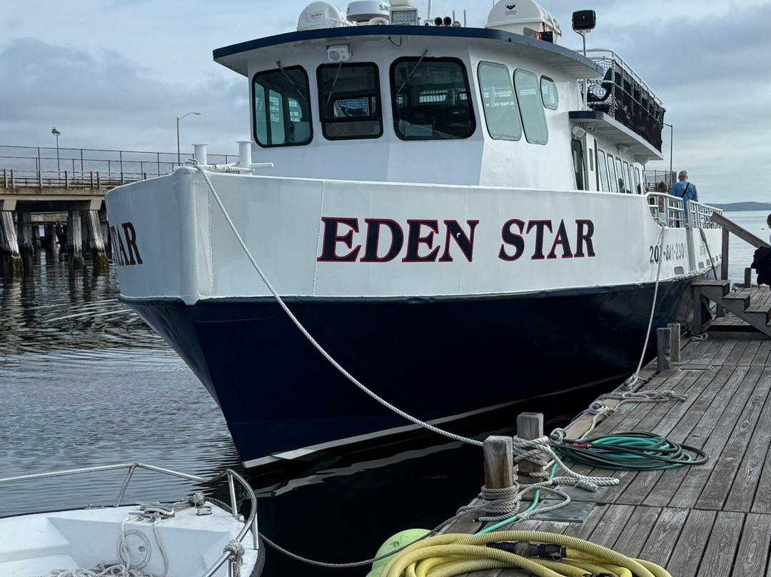 Acadian Boat Tours Puffins, Lighthouses, & Seabirds Cruise-巴港必去景点