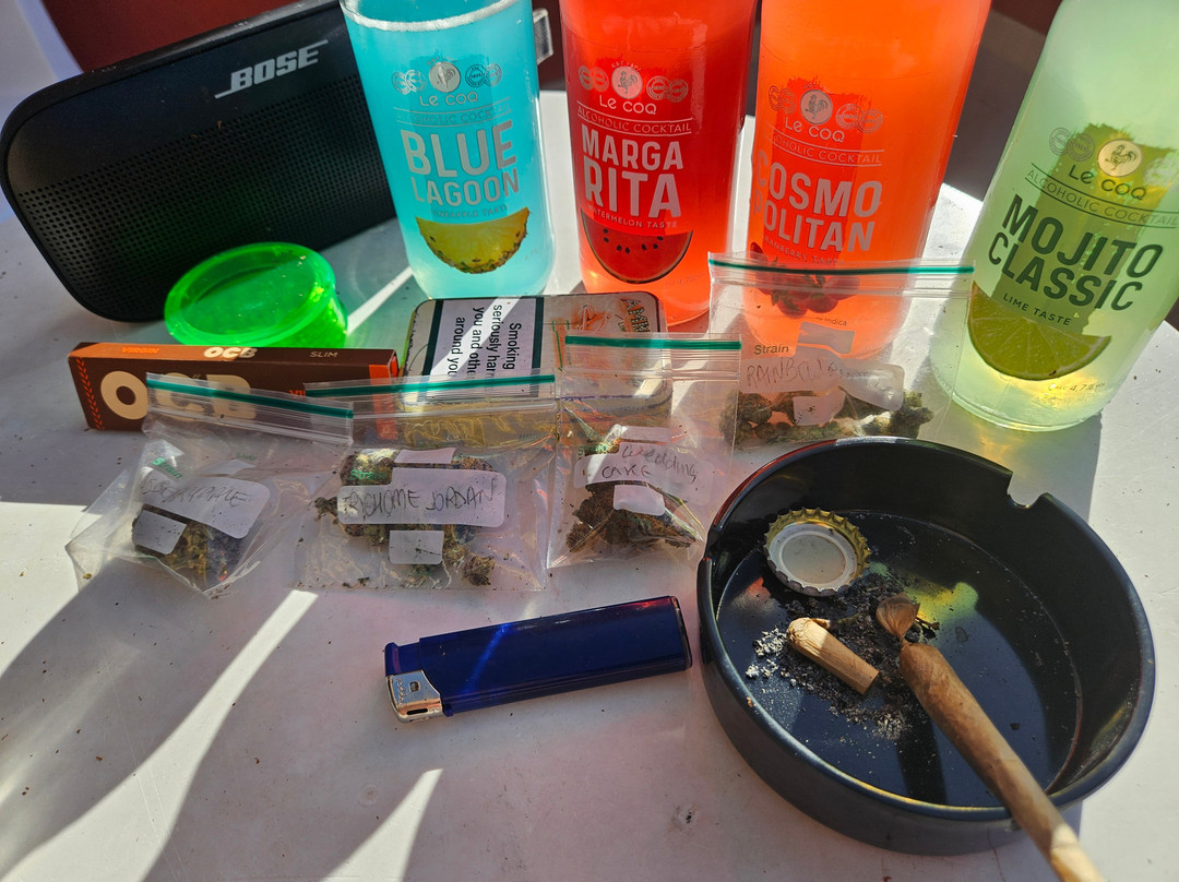 Weed Tenerife Satindica-奥德杰海岸必去景点