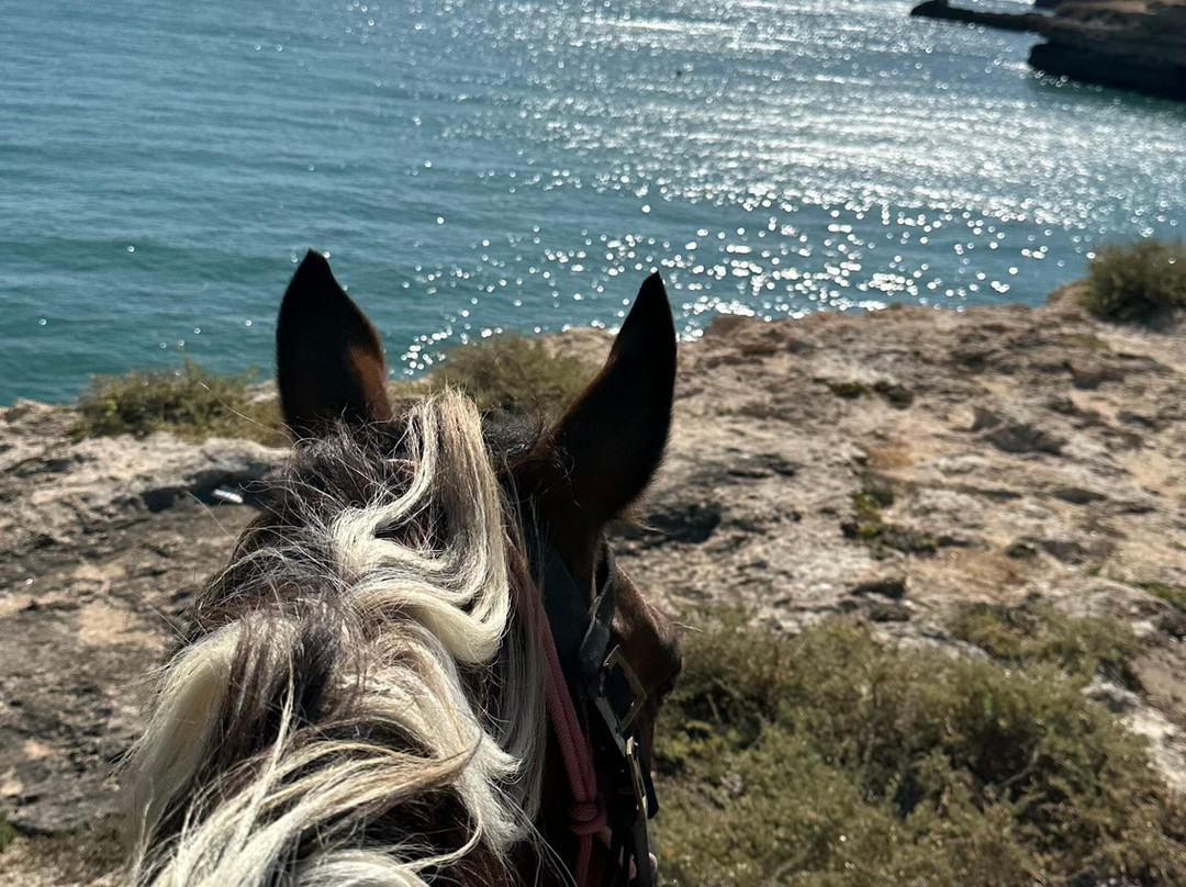 Solid Rocks Algarve Horse Trail Adventures-Porches必去景点