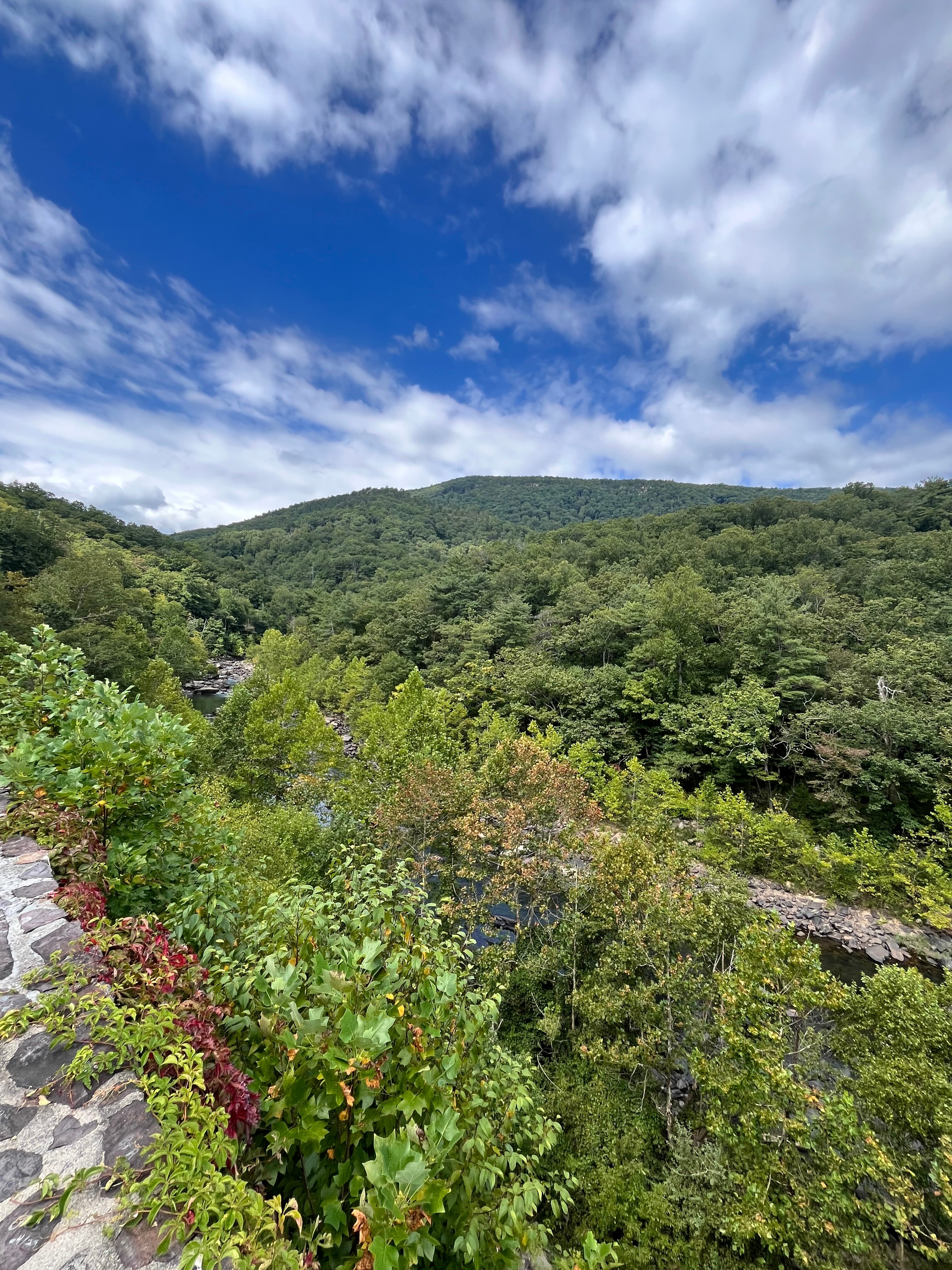 Roseloe Motel-官方