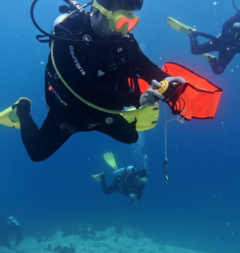 Honu Dive Center-null必去景点