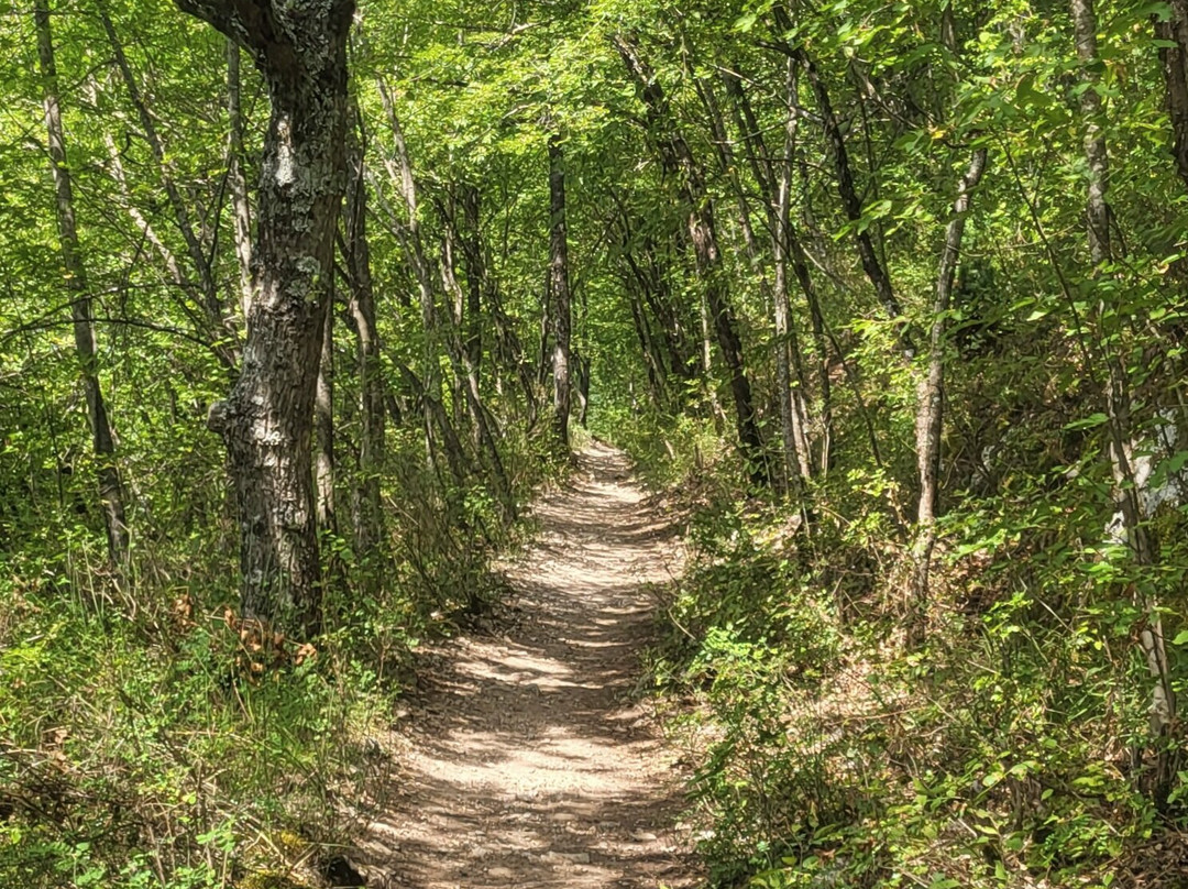 Sentiero del Cuore-Scanno必去景点