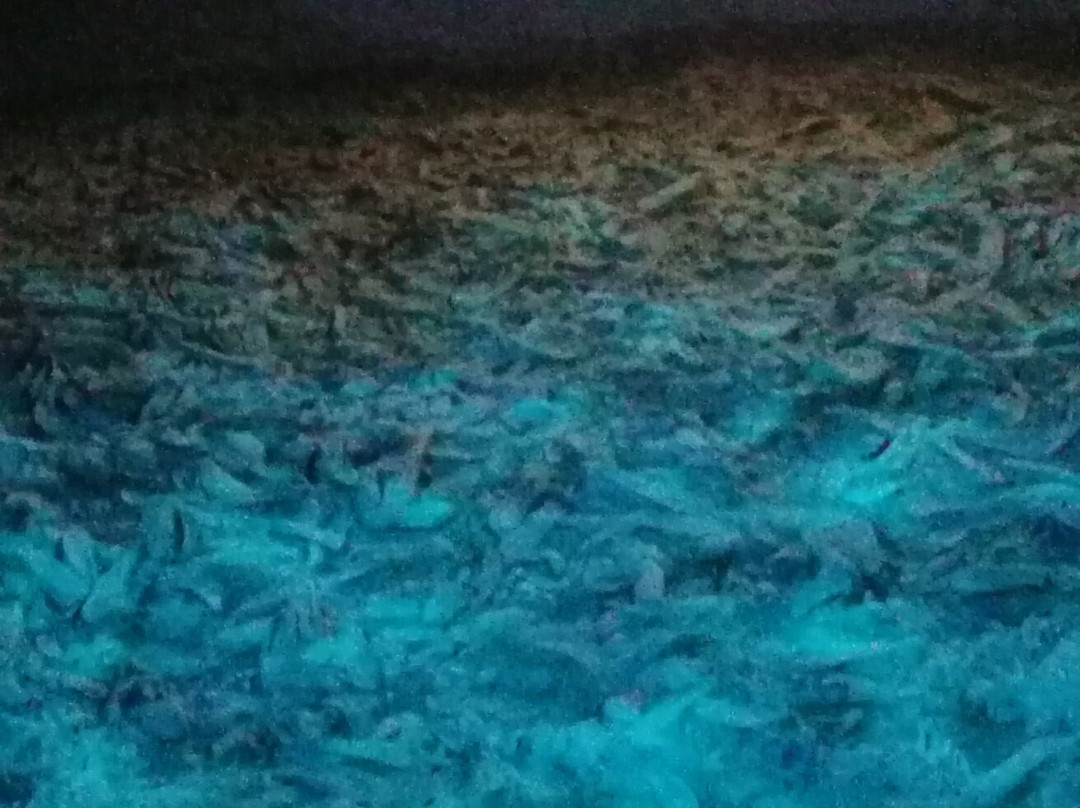 Fossilienwelt Weinviertel-Stetten必去景点