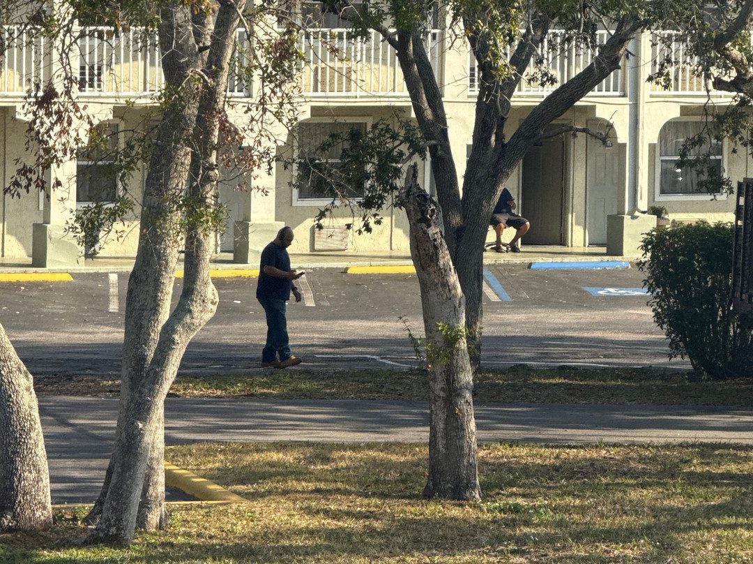 Best Western Plus Bradenton Hotel & Suites主图