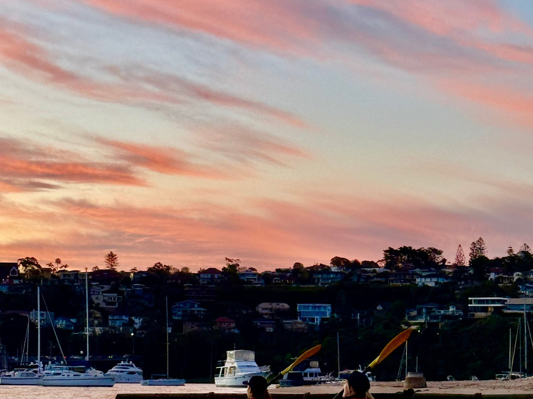 Sydney Harbour Kayaks-莫斯曼必去景点