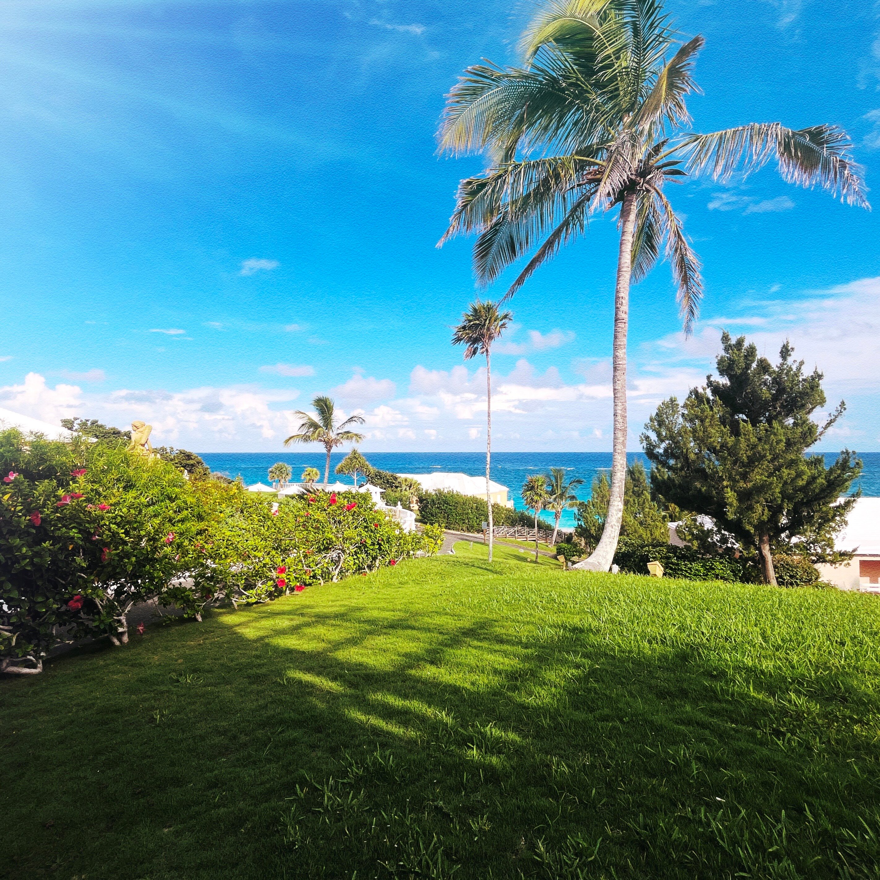 百慕大可可礁酒店-浴室