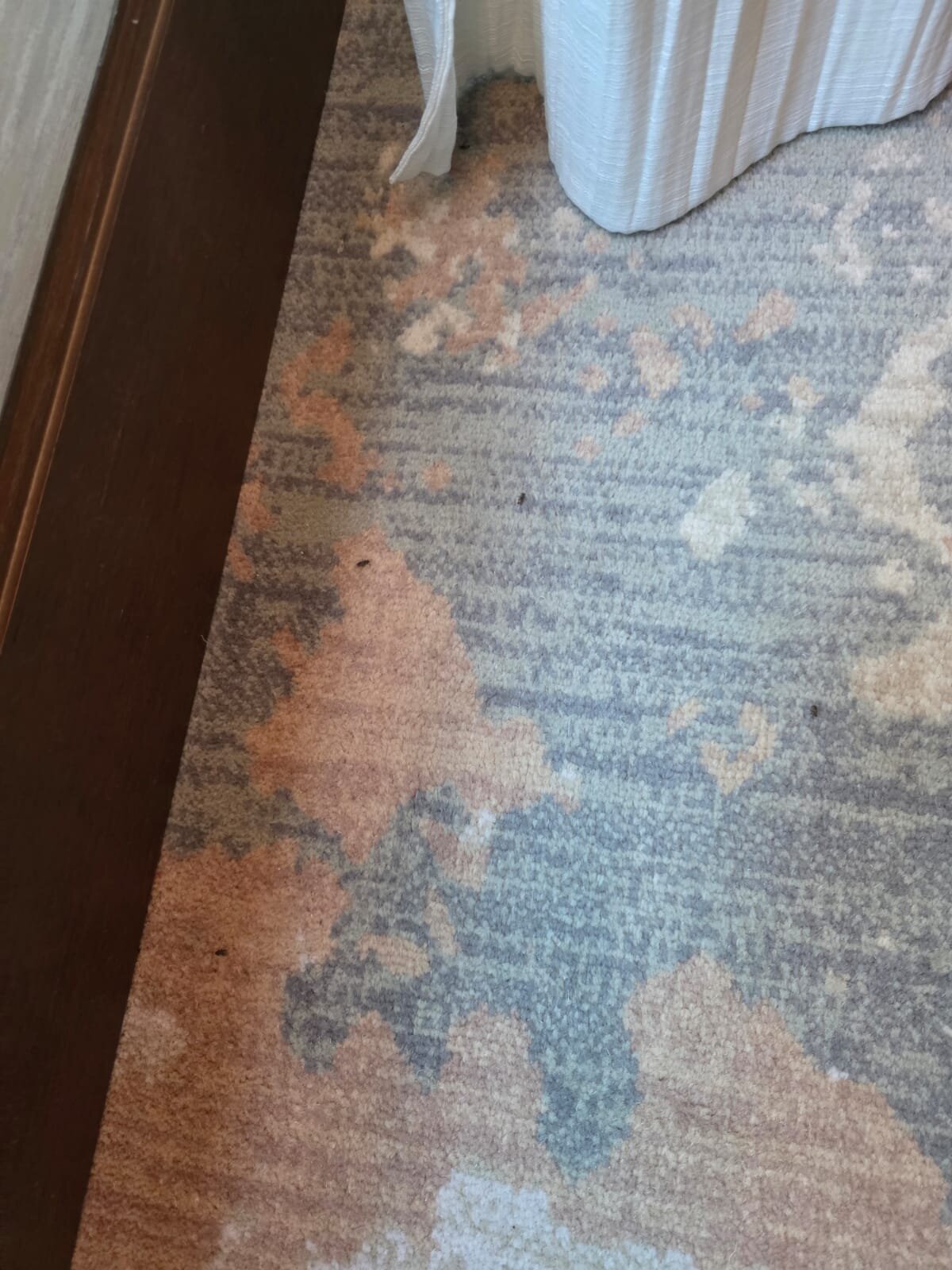 柏林洲际酒店-客卧