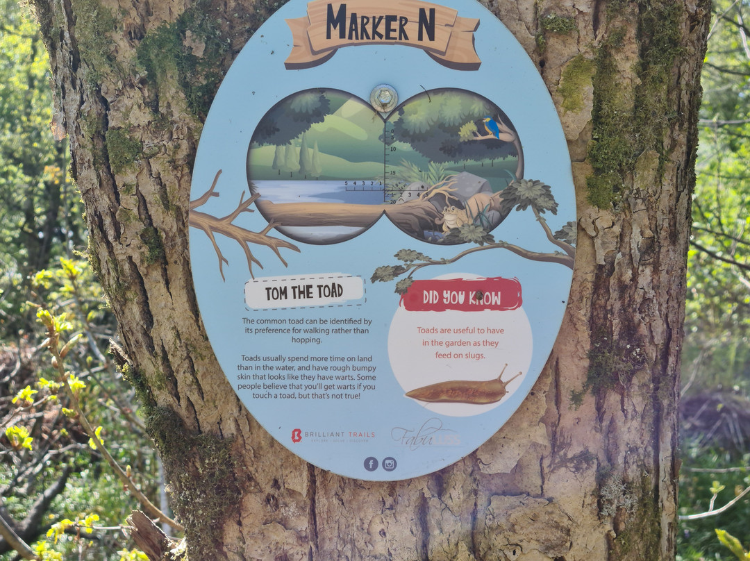Luss Village Paths-拉斯必去景点