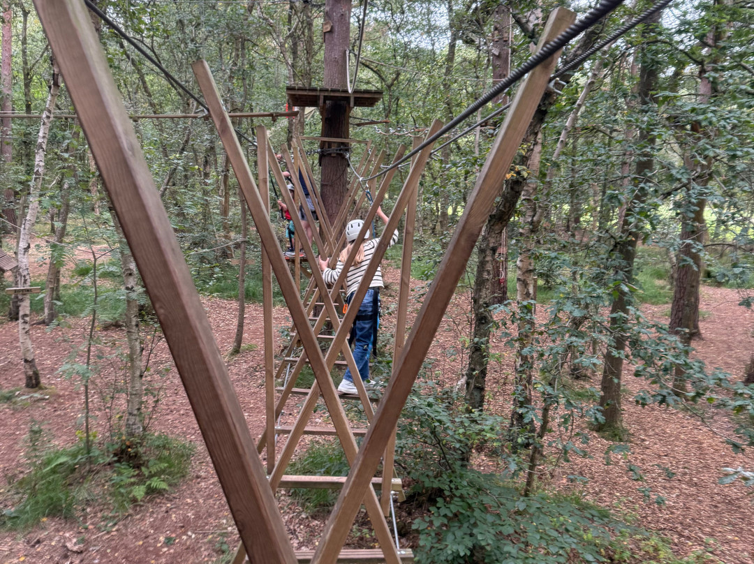 Wild Pines Park-Market Rasen必去景点