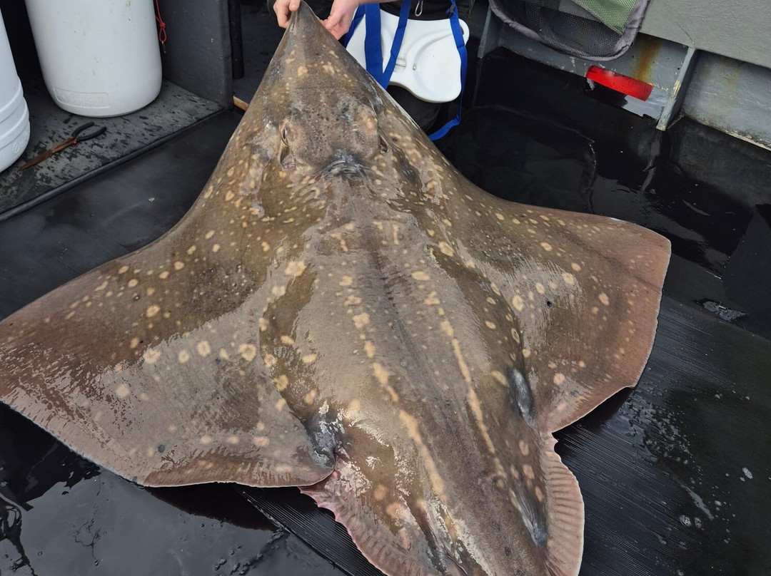 Moray Firth Fishing Charters-Burghead必去景点