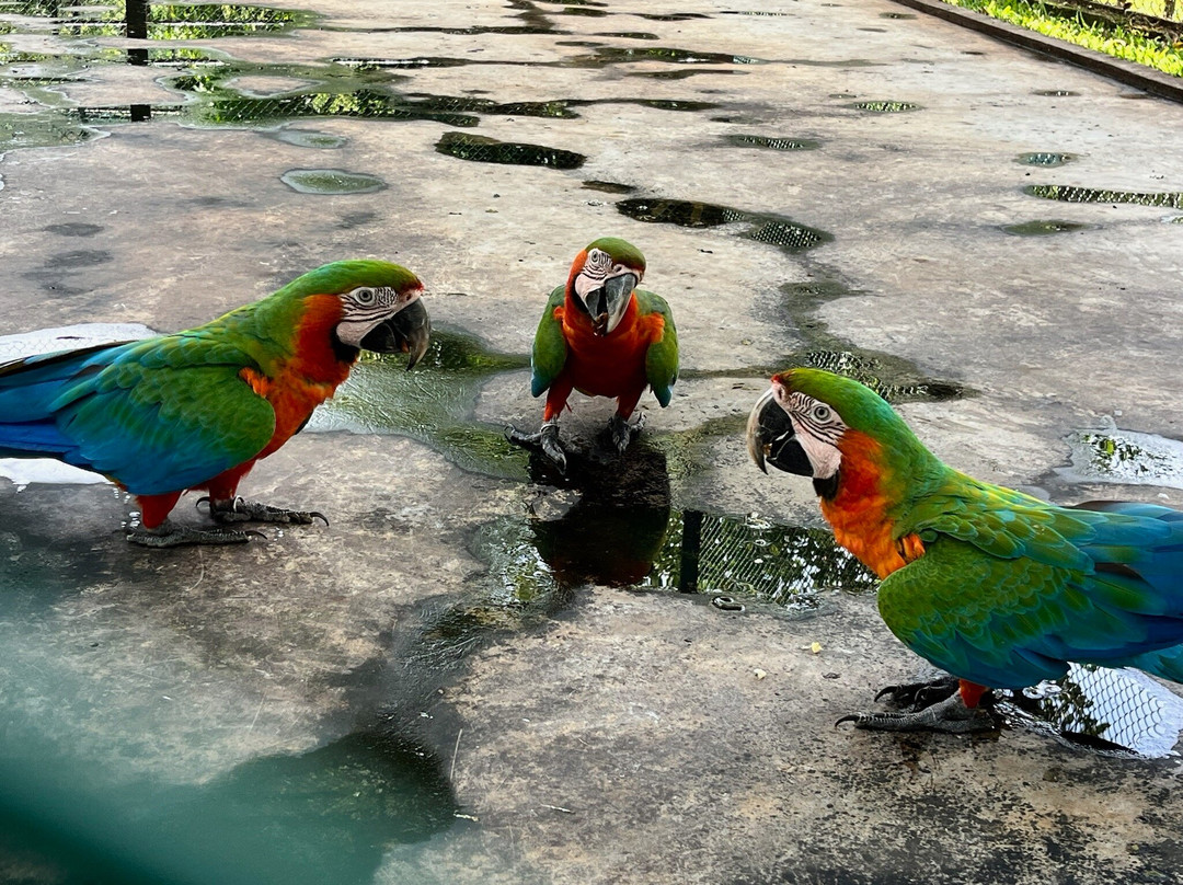 Birds Research Center & Resort-Hambantota必去景点