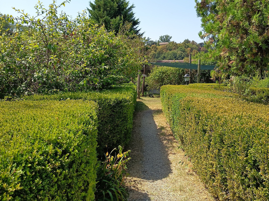 Cascina Zenevrea主图