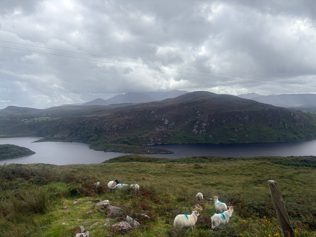 The Kerry Way-基拉尼必去景点