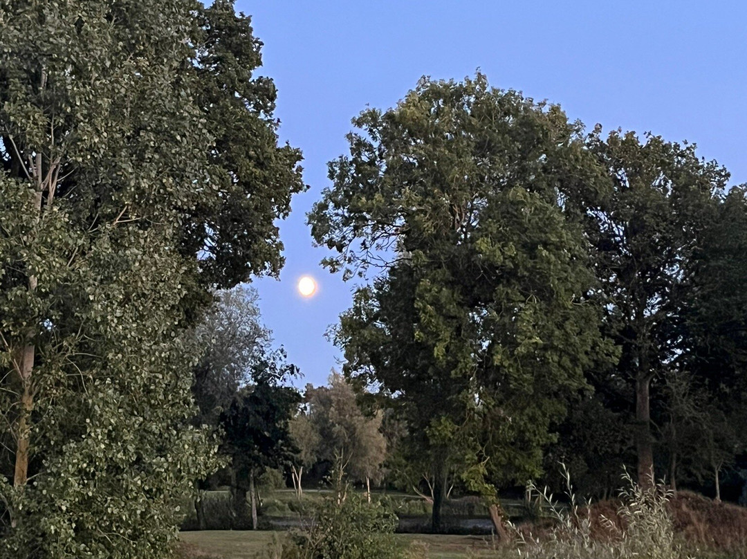 Billingford Lakes & Country Park