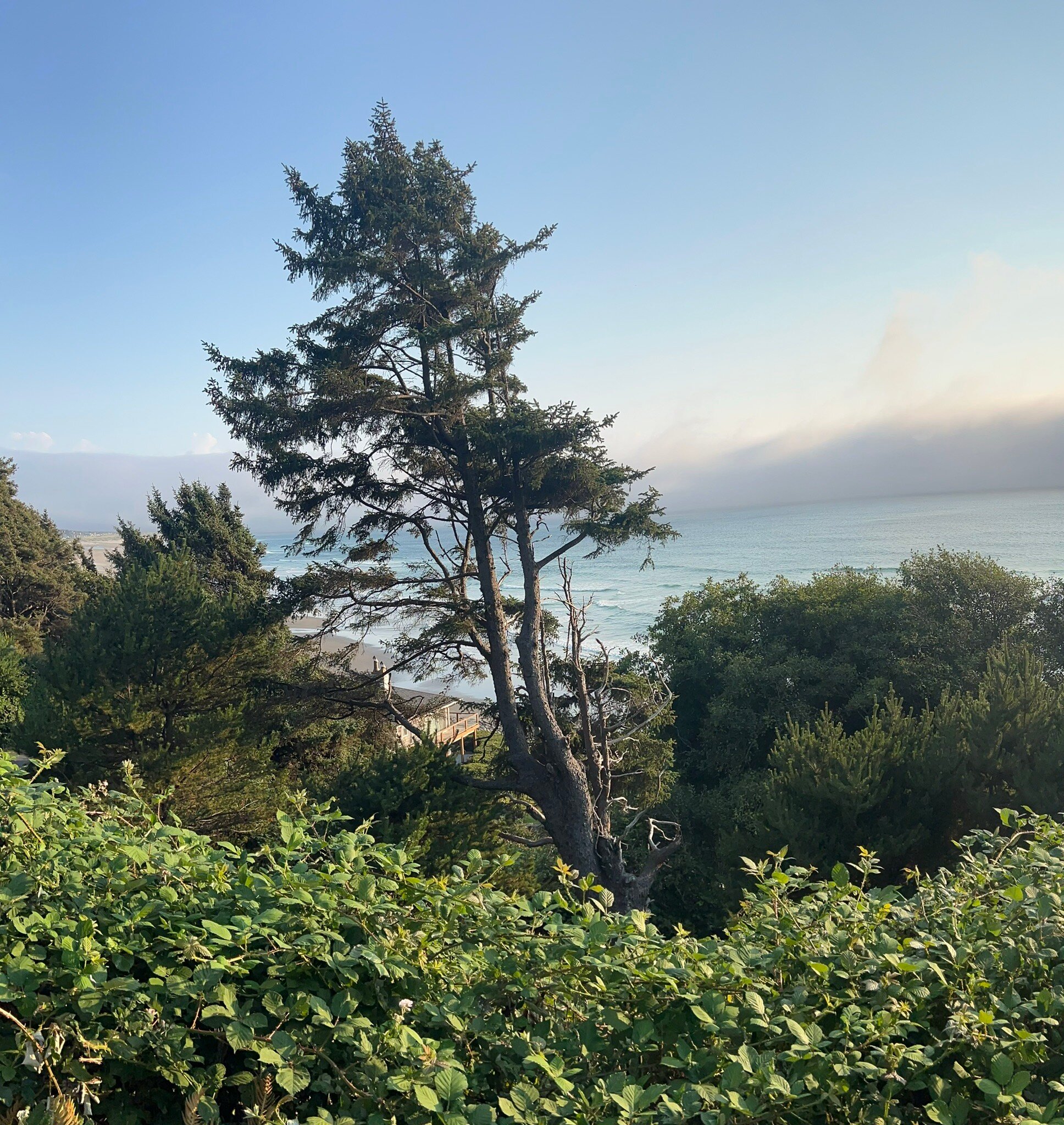 The Awtrey House-官方