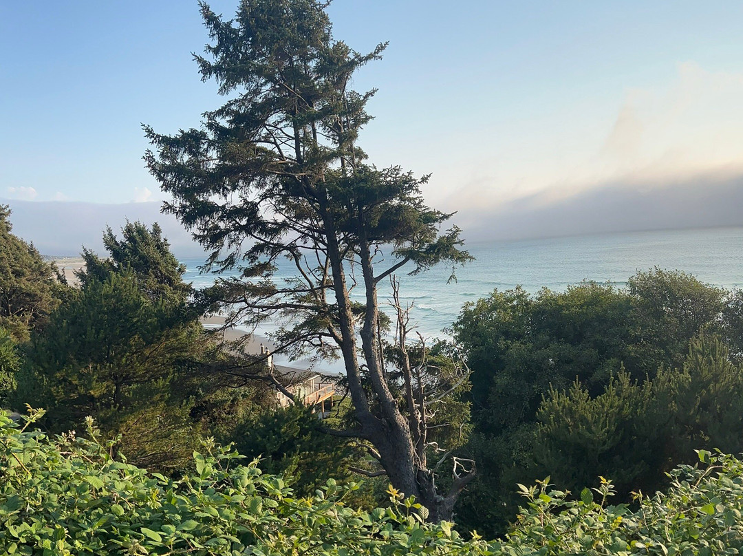 The Awtrey House主图