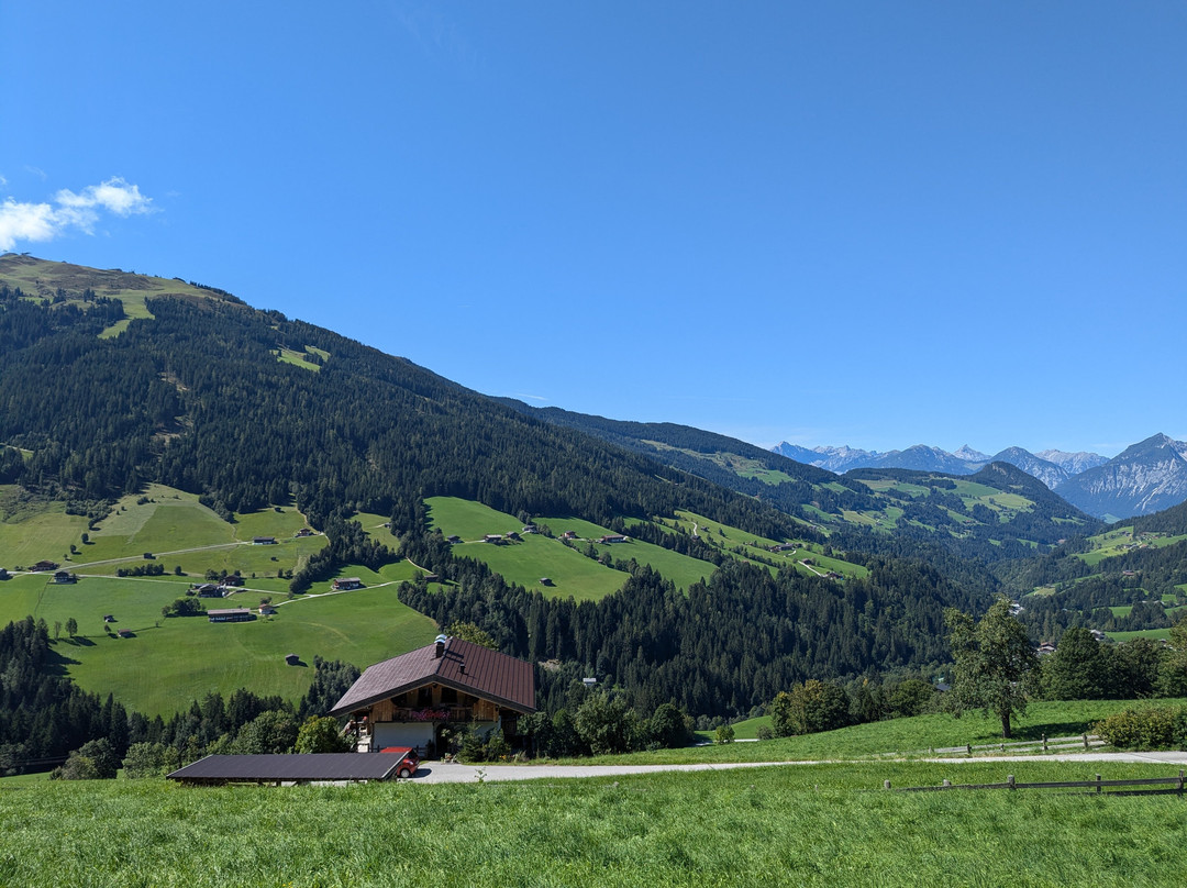 Rossmoos Gasthof主图