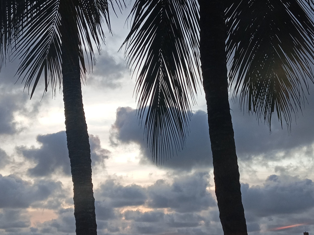 Aquarius Diving Club-Rincon del Mar必去景点