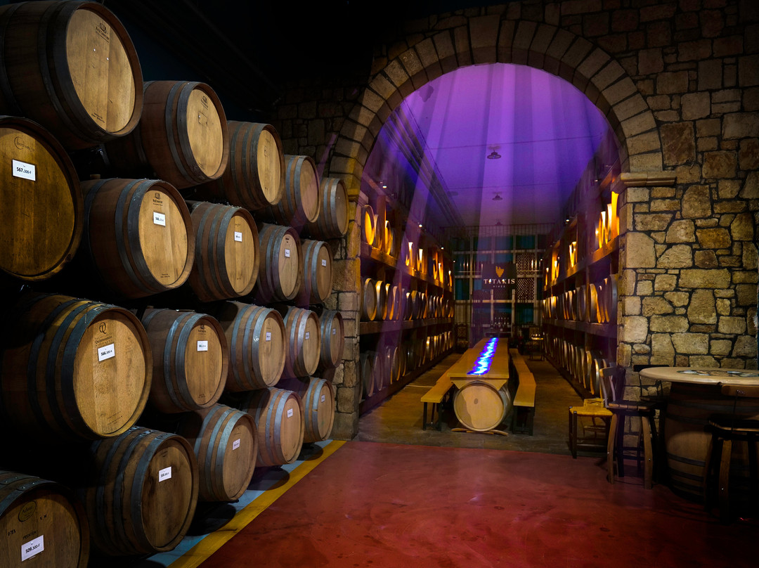 Titakis Wines - Fabrika Wine Experience-Kounavi必去景点