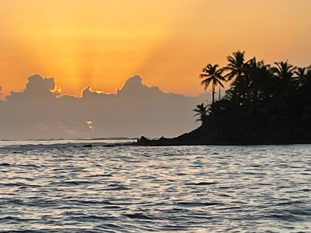 哈西恩德戴尔马尔凯悦酒店主图