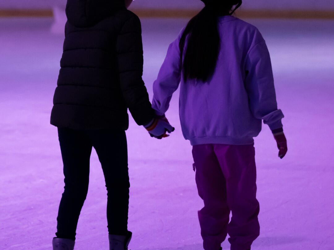 Alpine Ice Sports Centre-基督城必去景点