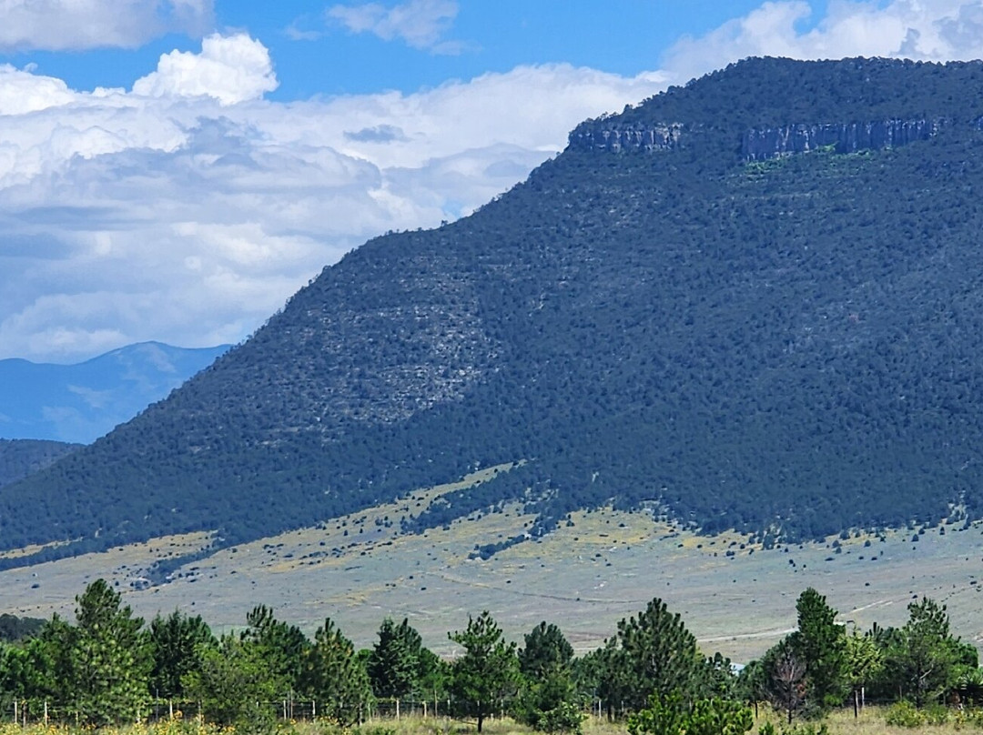 Bodega Los Cedros-Arteaga必去景点