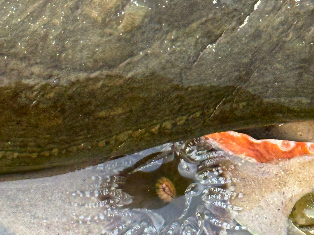 Rocky Cape Retreat主图