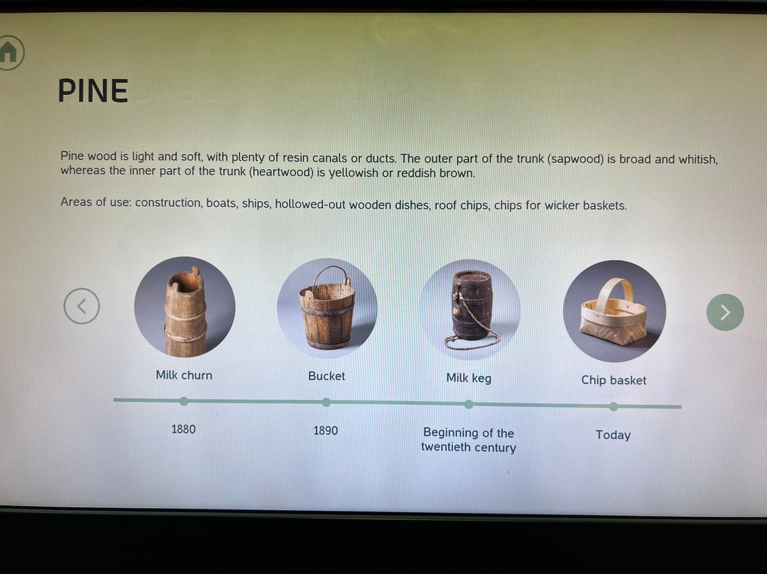 Sagadi Forest Museum-Sagadi必去景点