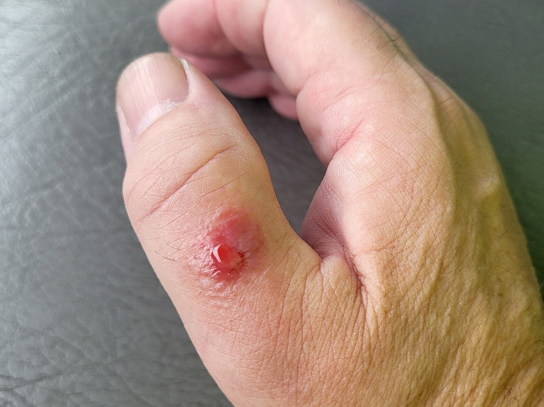 Microtel Inn & Suites by Wyndham Leesburg/Mt Dora主图