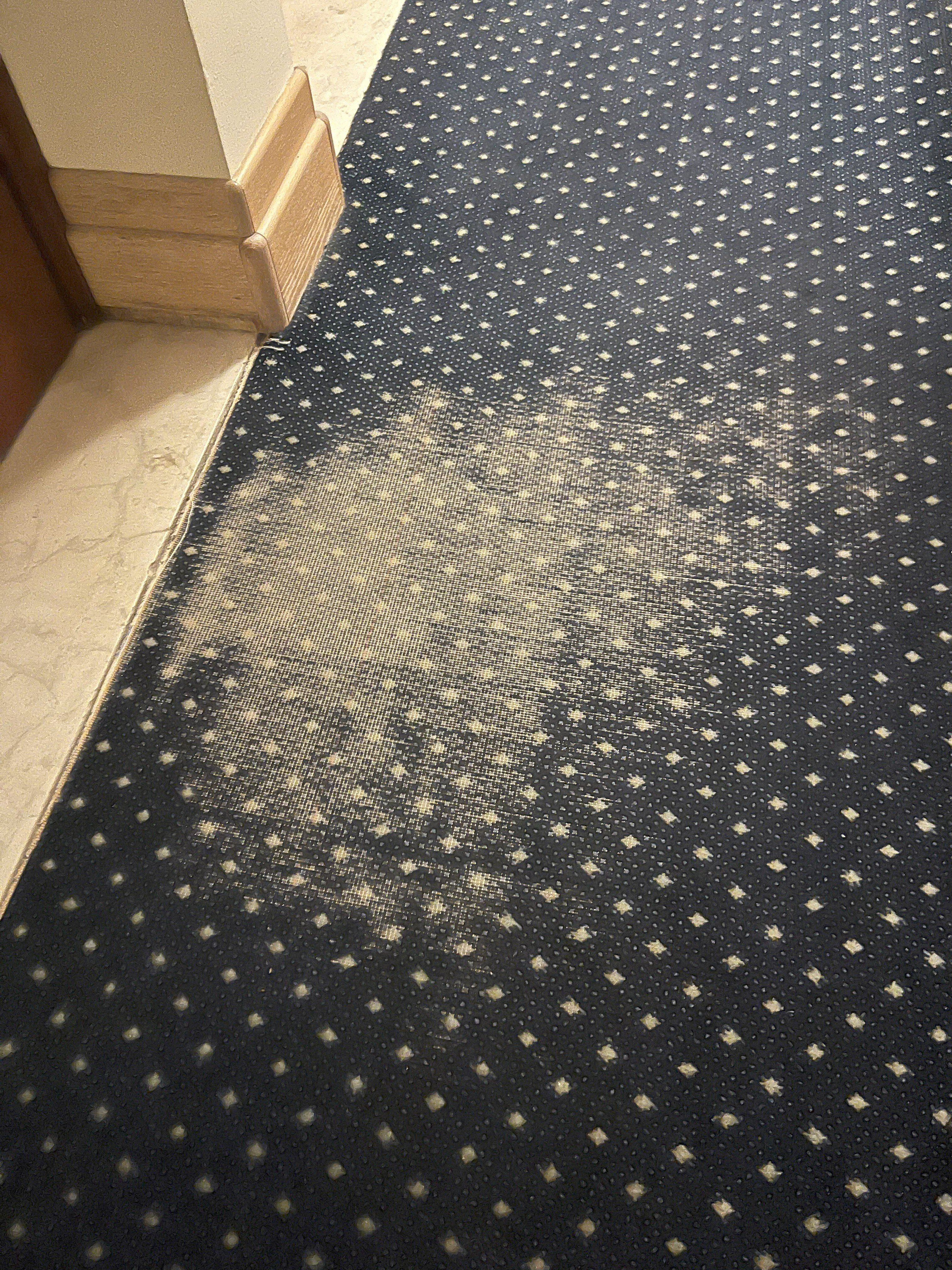 佛斯卡里宫殿酒店-官方