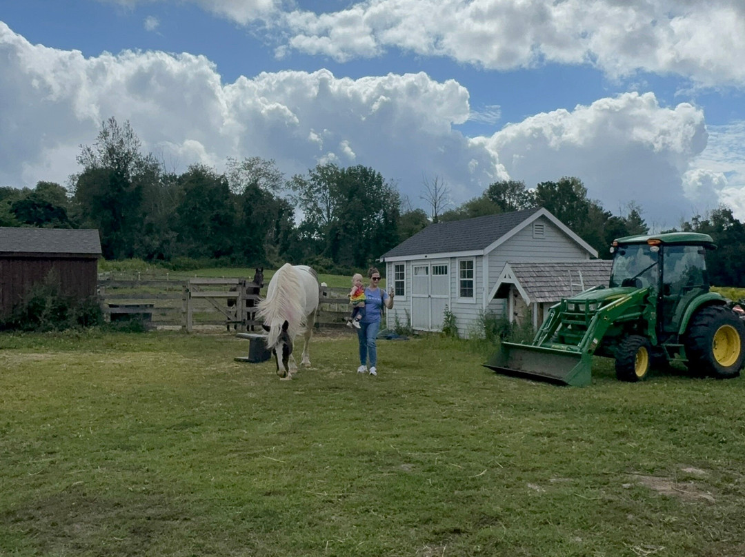 Blue Iris Farm-Lebanon必去景点