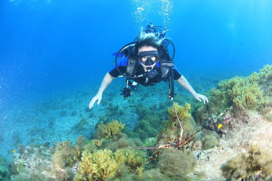 Águas Claras-费尔南多-迪诺罗尼亚群岛必去景点