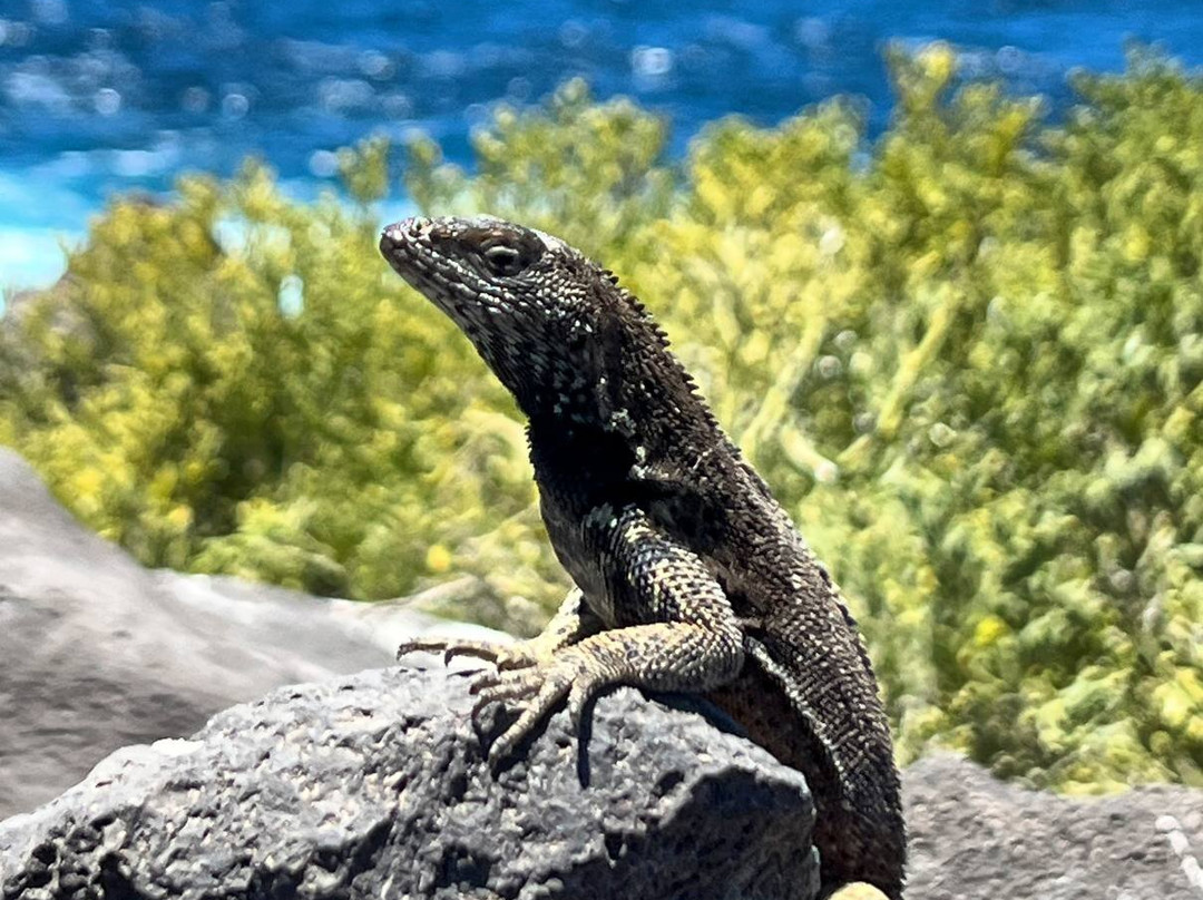 Ecuador Wonders Tour Operator-基多必去景点