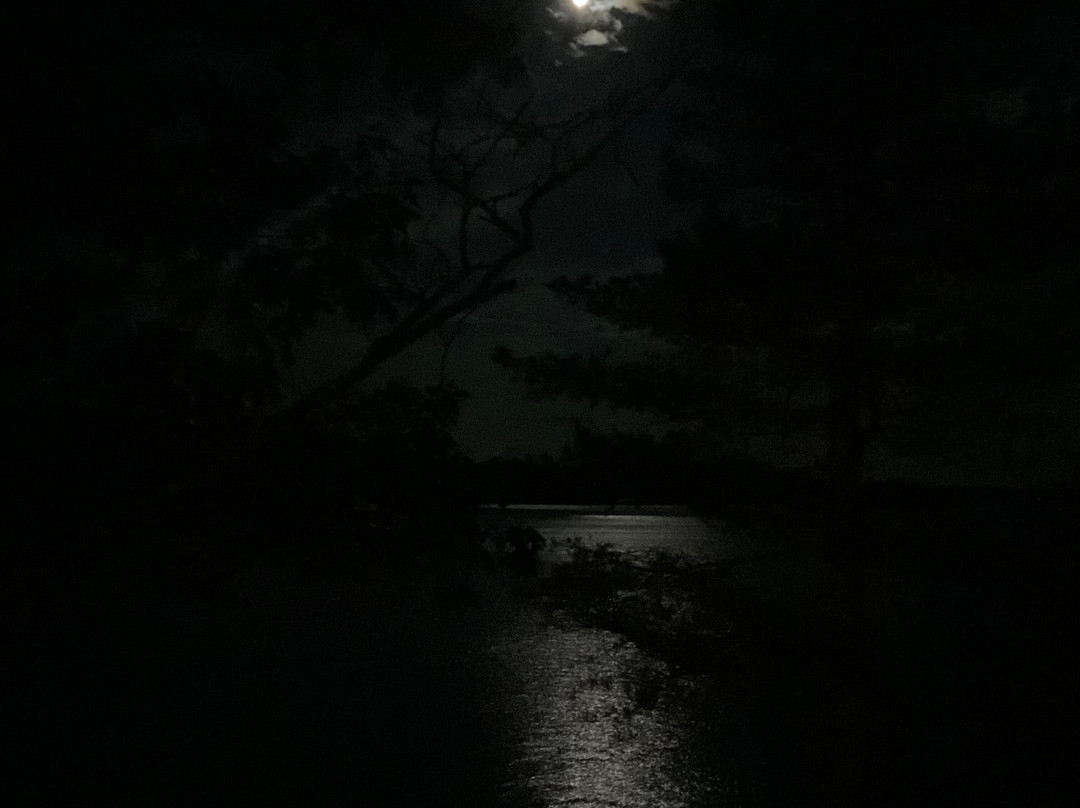 蜜月湖试金石酒店主图