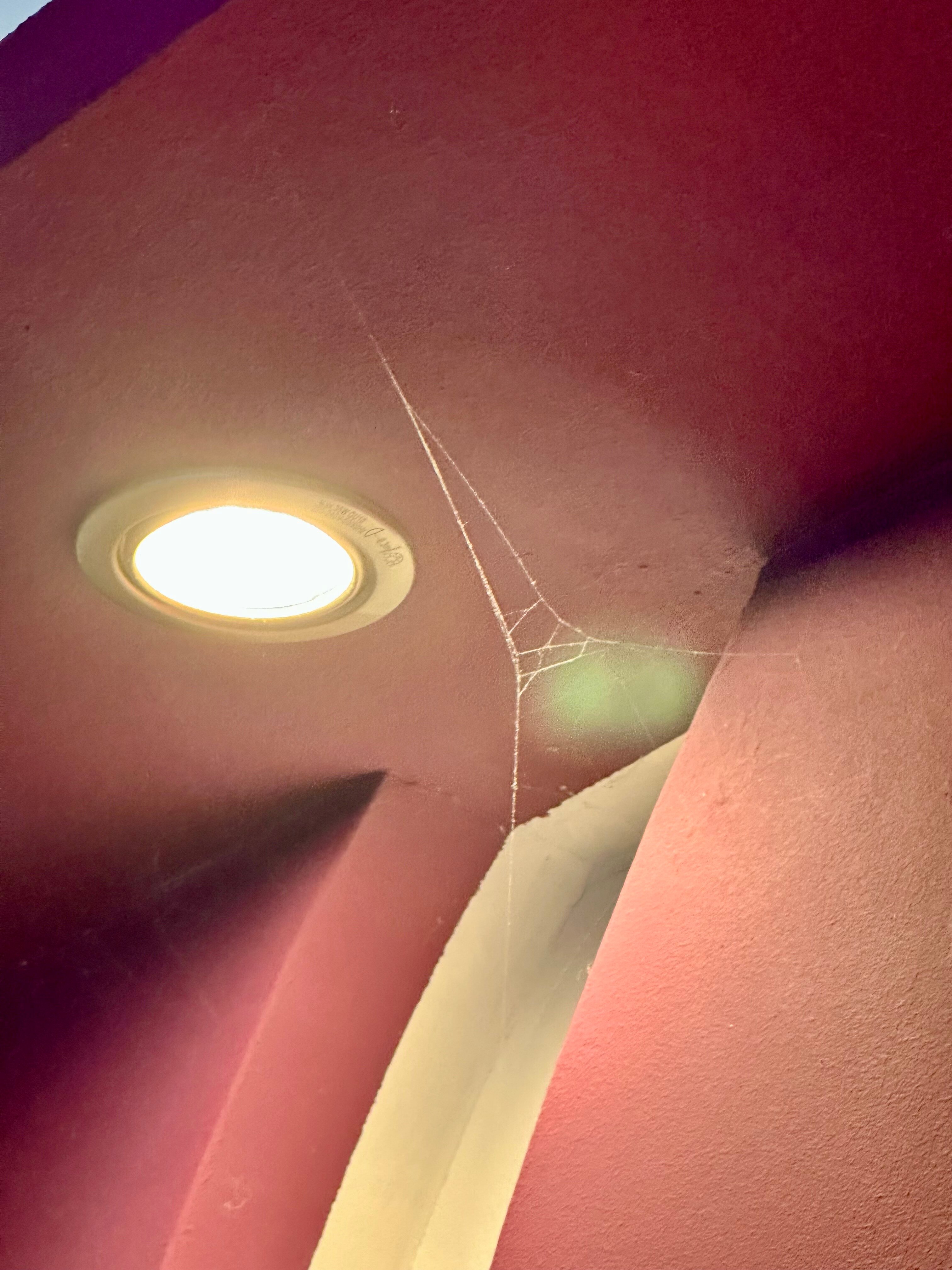 普瑞姆拉酒店-客卧