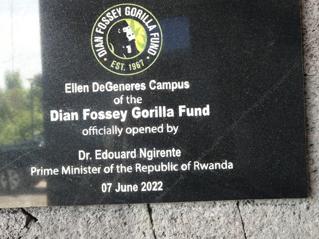 Ellen DeGeneres Campus of the Dian Fossey Gorilla Fund-Kinigi必去景点