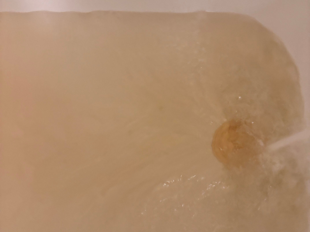 Wheel Inn Motel主图