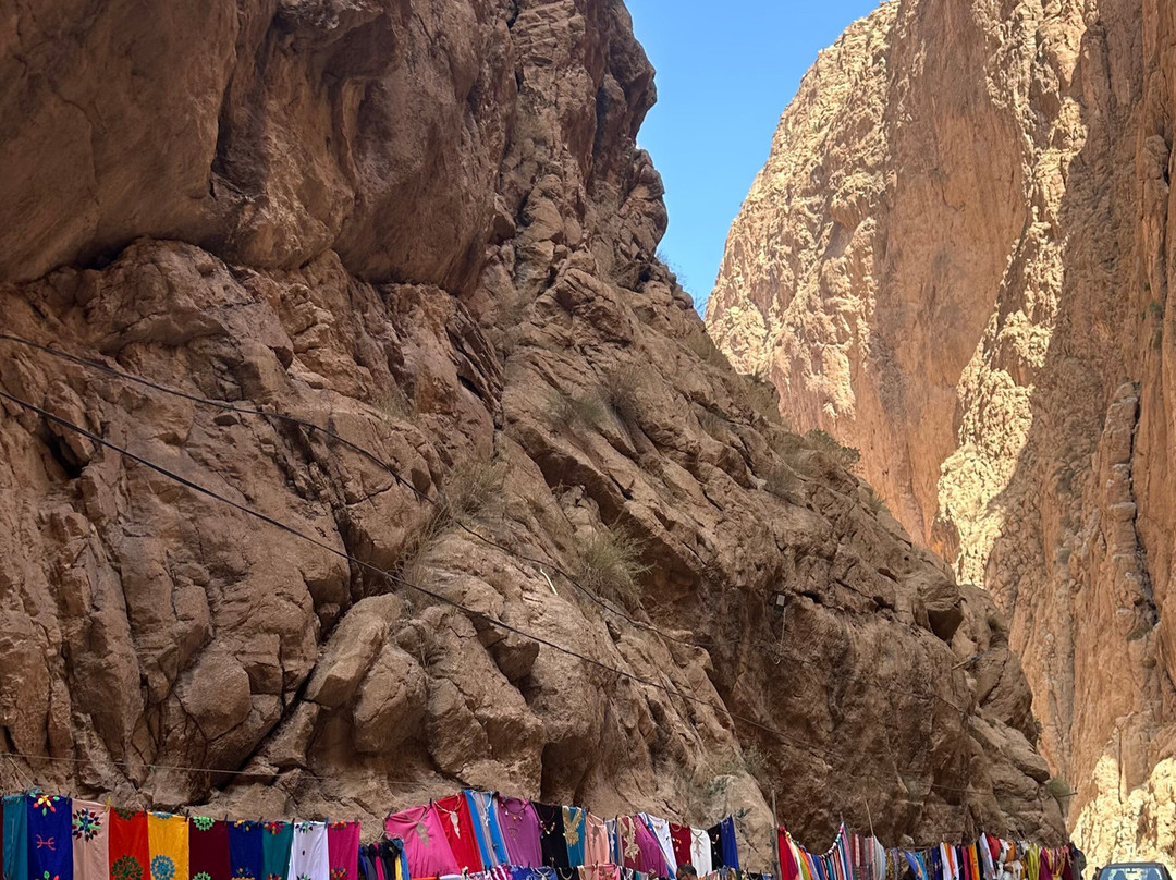 EasyGo Tours-马拉喀什必去景点