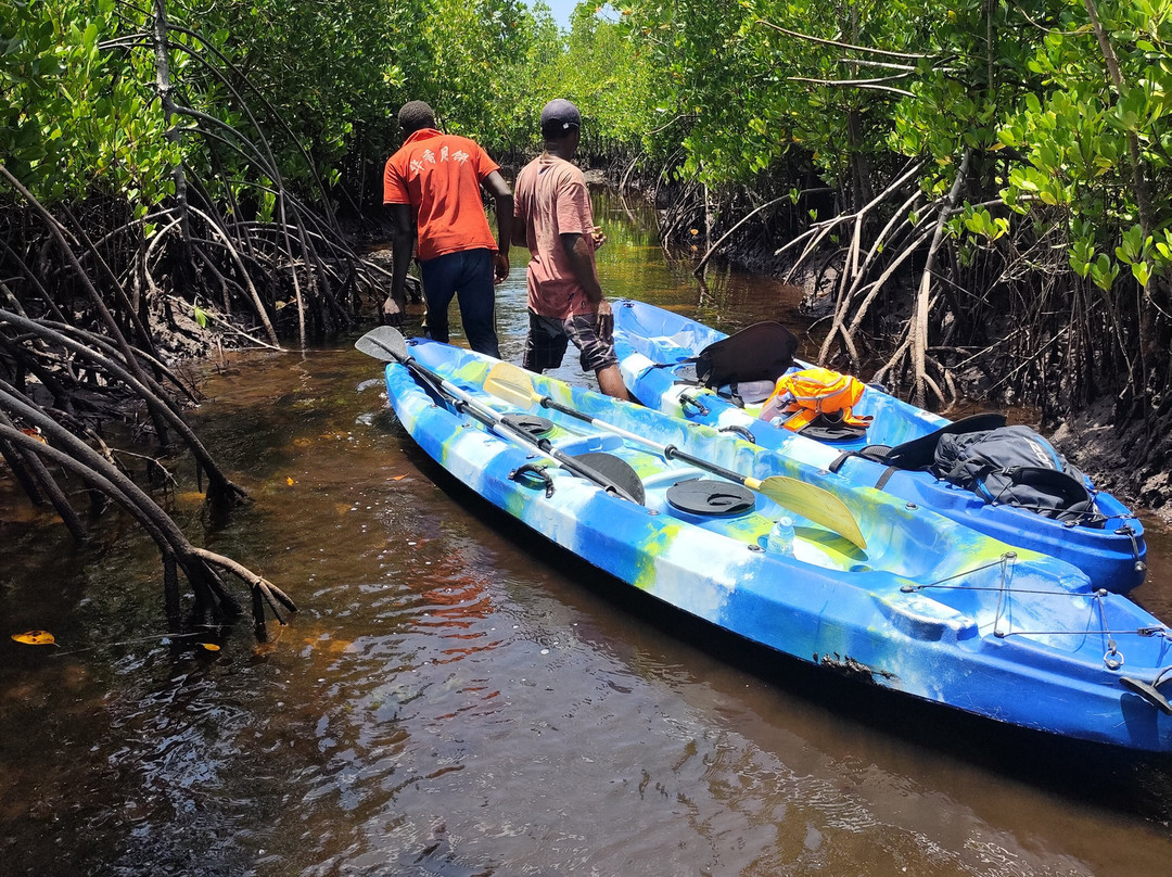 Bwejuu Mangrove Tunnels Kayak-必韦久必去景点
