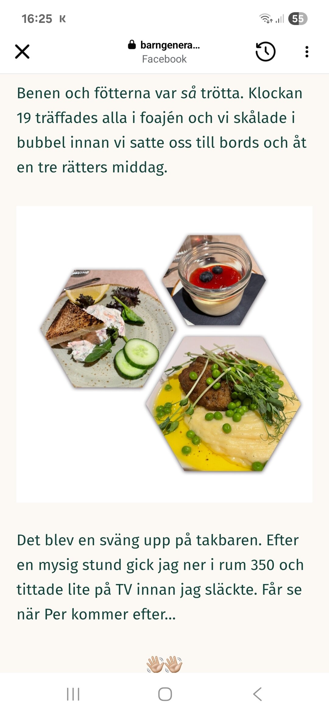 斯堪迪克卡尔斯克鲁纳酒店-官方