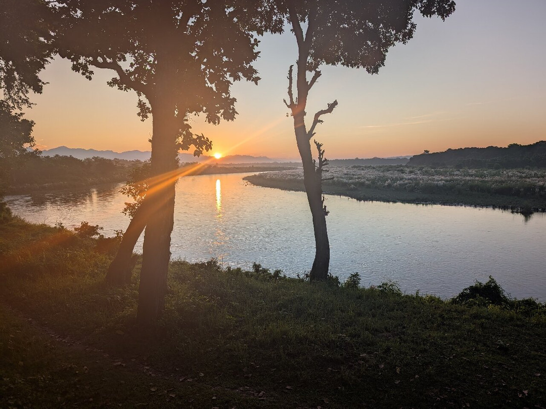 Nepal Dynamic Eco Tours & Services-奇旺国家公国必去景点