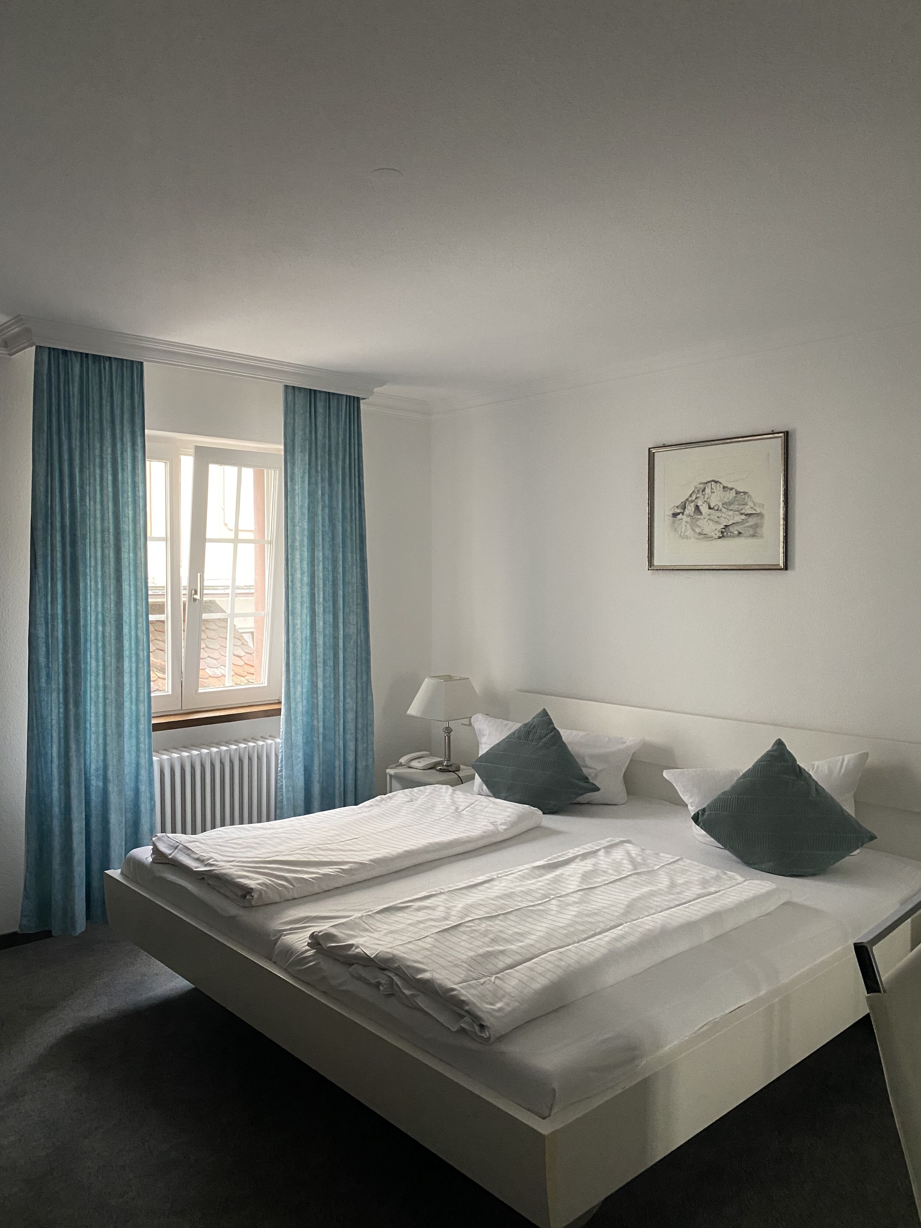 Hotel-restaurant Adler-客卧