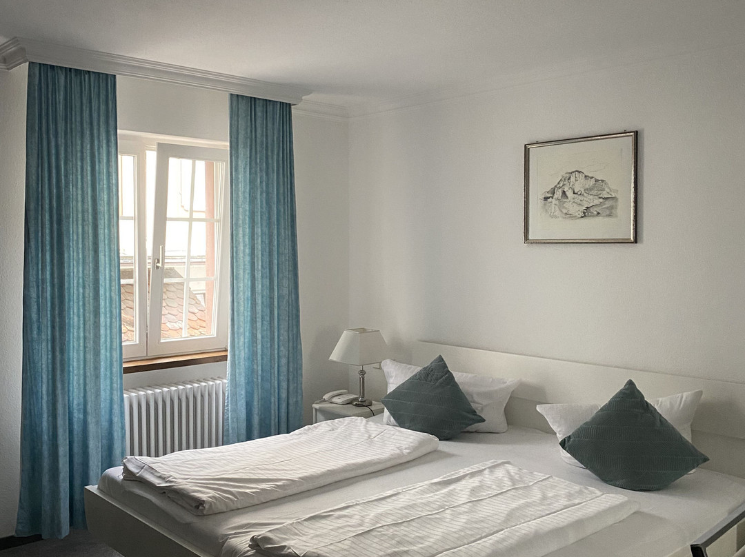 Hotel-restaurant Adler主图