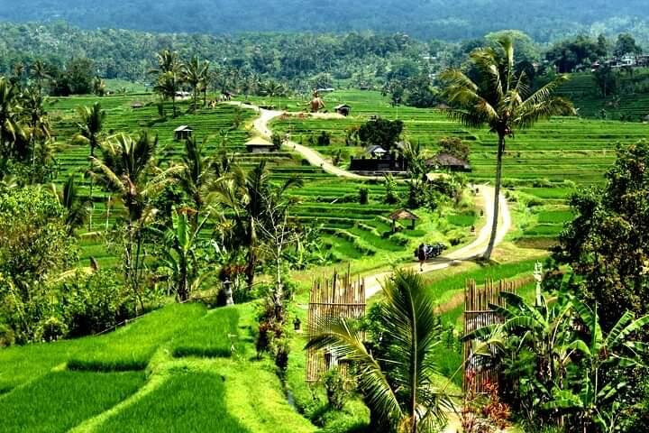 Paniek Bali Driver-Banjarangkan必去景点