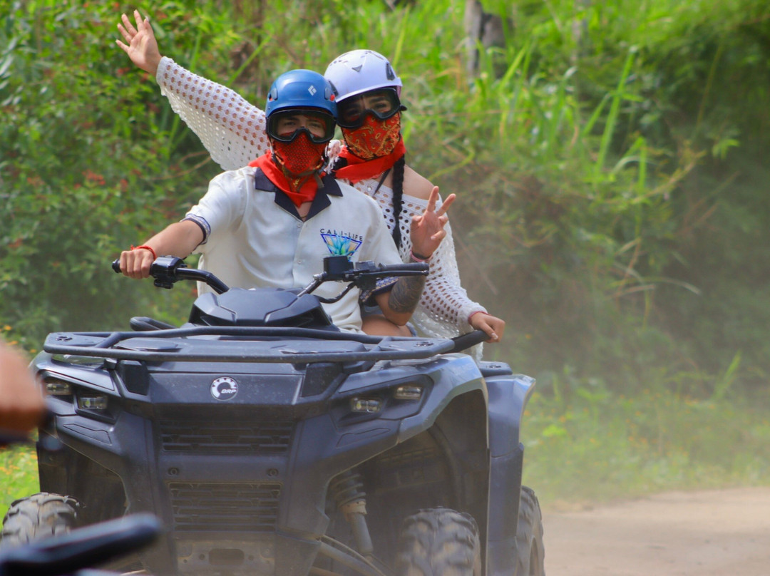 Canopy Eco Orbit-Cabo Corrientes必去景点