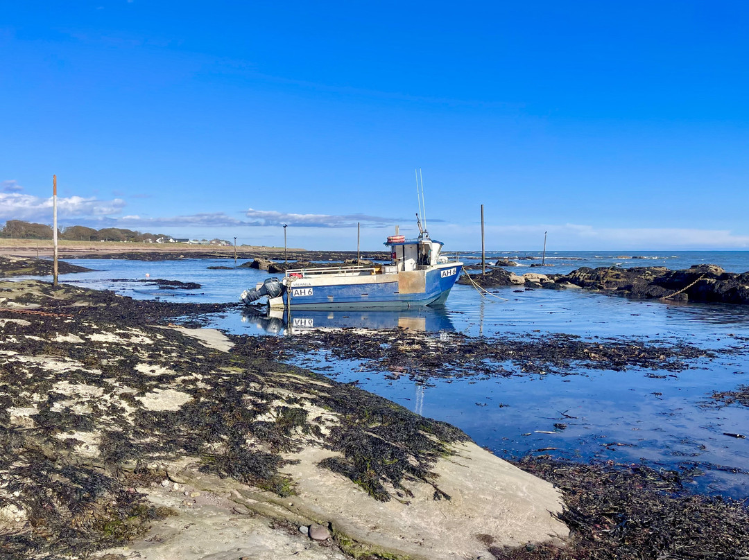 Carnoustie Beach-Carnoustie必去景点