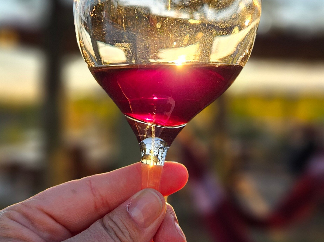 Vinícola Reconvexo-Morro Do Chapeu必去景点