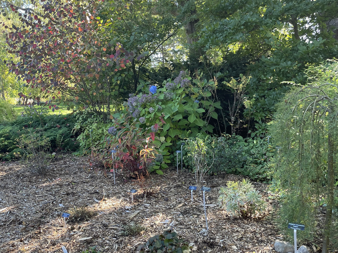 Annapolis Royal Historic Gardens-安纳波利斯罗亚尔必去景点