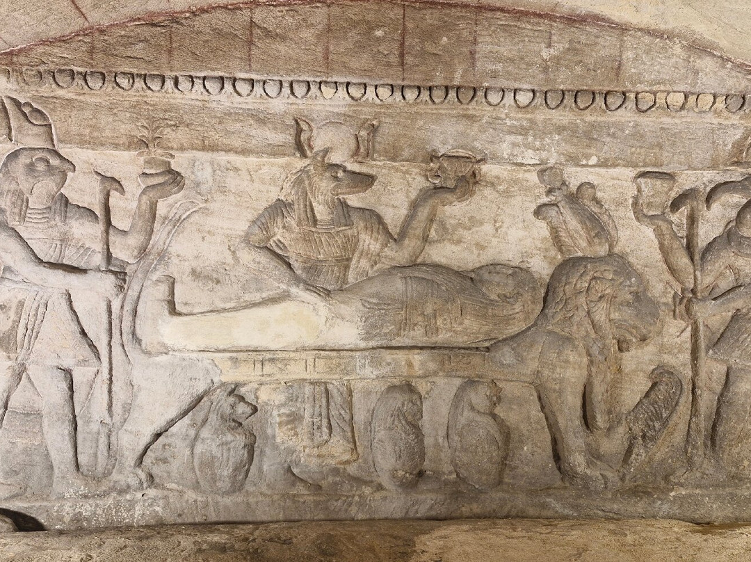 Emo Tours Egypt Alexandria-亚历山大必去景点